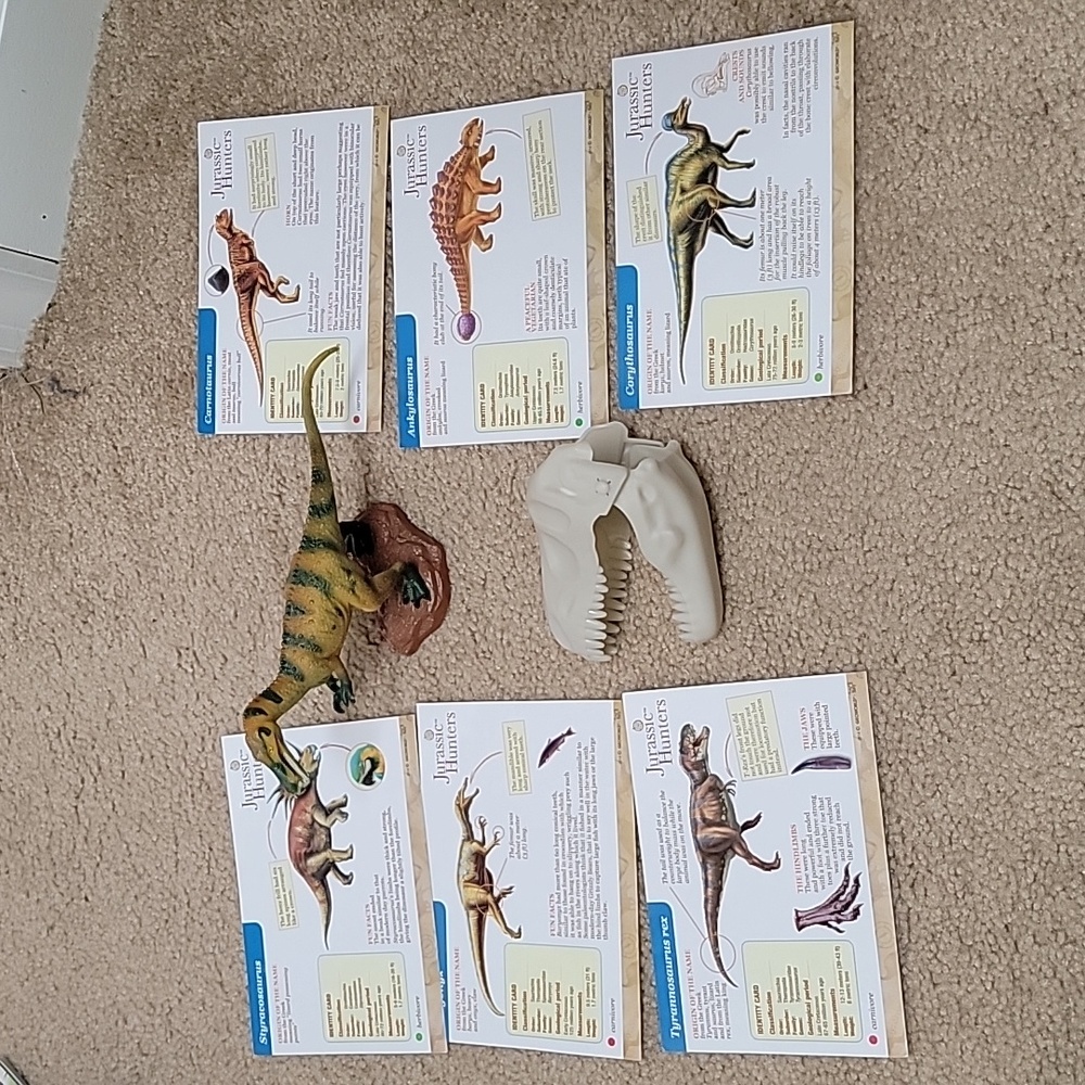 Dinosaur Learning Set